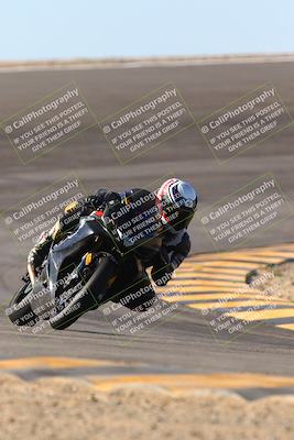 media/Jan-13-2024-SoCal Trackdays (Sat) [[9c032fe5aa]]/Bowl Exit Set 2 (1135am)/